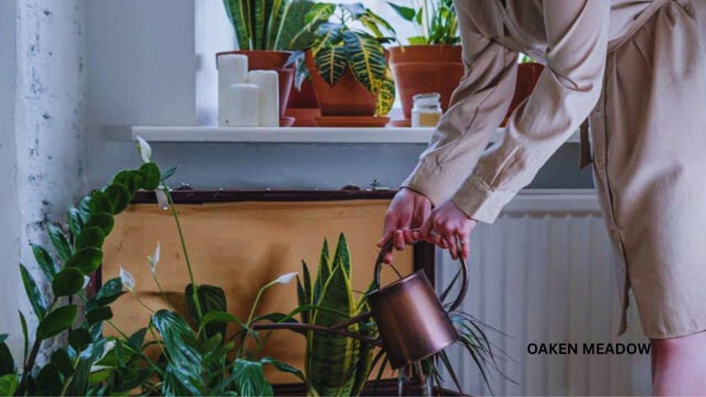 A person mindfully watering plants to reduce stress in their backyard sanctuary.