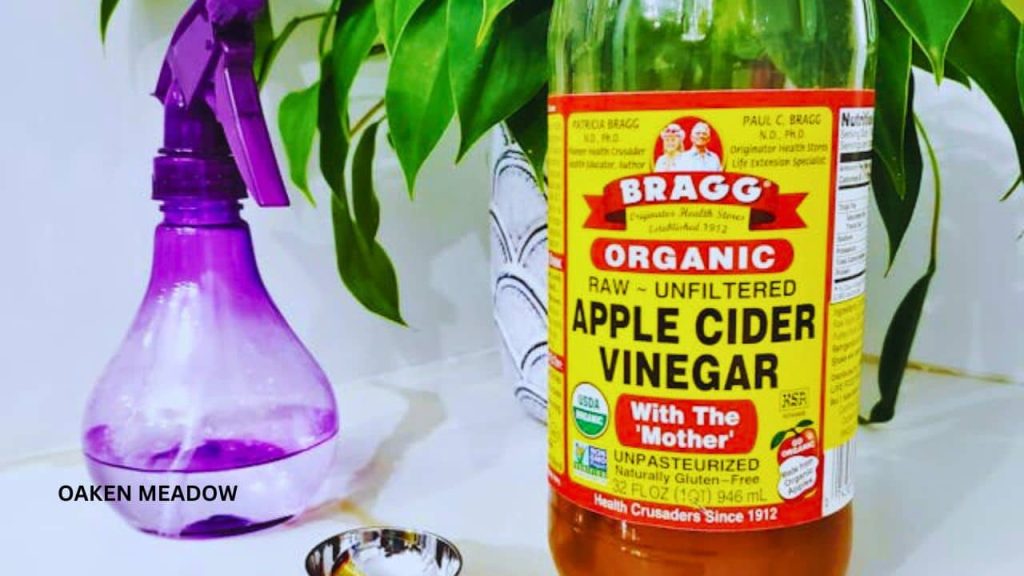 Reusable glass spray bottles with DIY natural cleaning solutions like vinegar and essential oils, arranged neatly on a wooden surface.