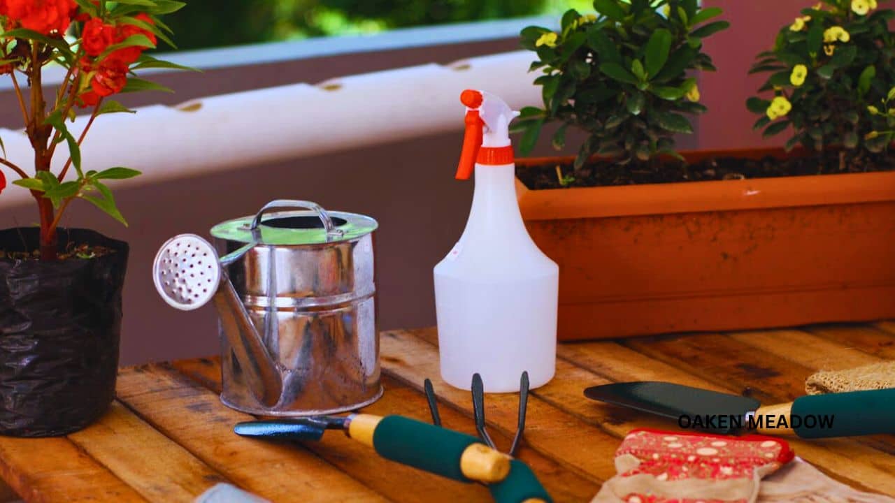 essential garden tools for home gardeners