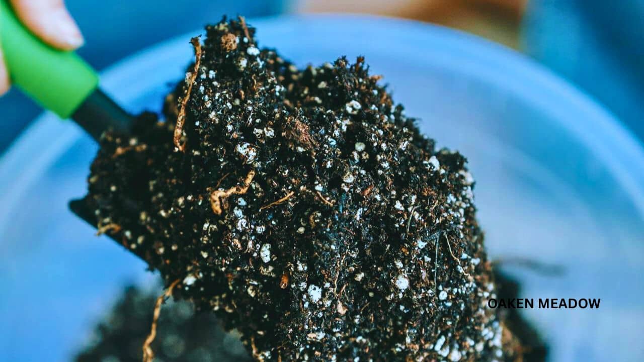 The perfect soil mix for raised bed gardening for beginners