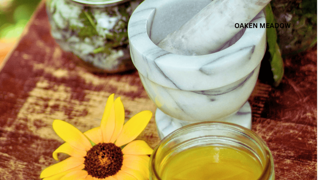 Homemade fire cider and herbal tinctures on a kitchen shelf, representing the medicinal side of the 7 traditional kitchen skills every modern homesteader should master.