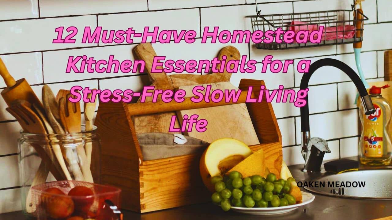 Homestead Kitchen Essentials for beginners