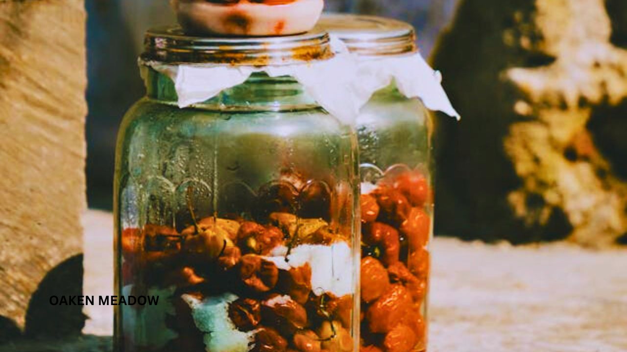 Canning and food preservation for modern homesteading for beginners