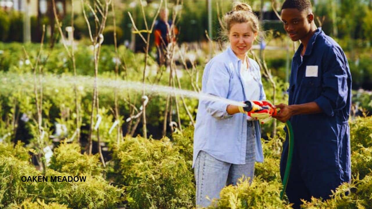 A young family working together in their abundant home garden, showcasing the practical side of modern homesteading.