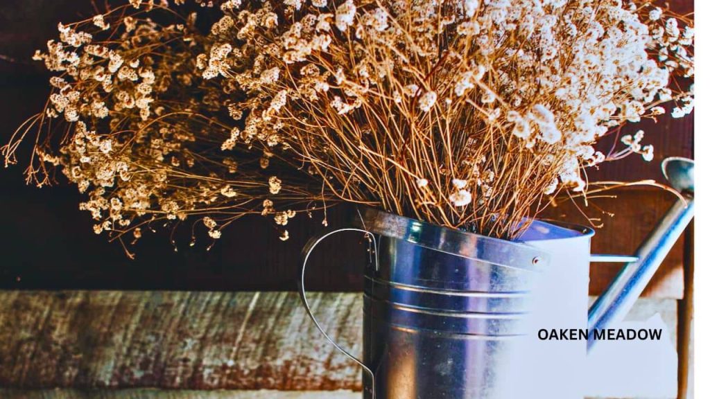 A wooden table with plants and galvanized buckets, a key element of rustic farmhouse decor on a budget