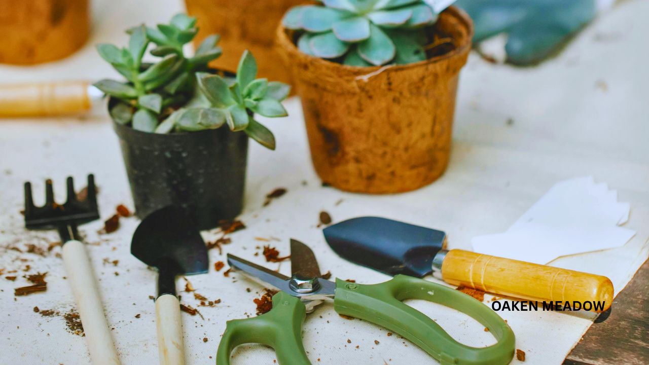 choosing ergonomic garden tools for beginners