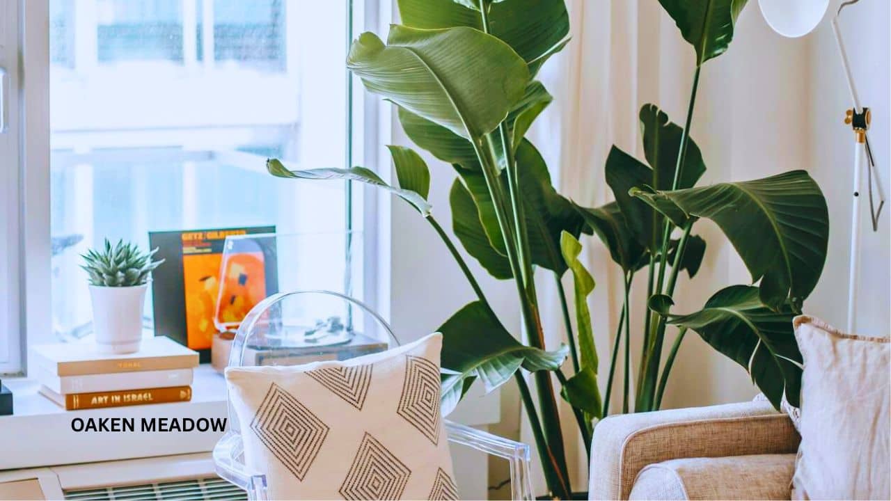 A luxury living room interior featuring Modern Organic Decor Ideas with a Cultural Twist with large indoor plants.