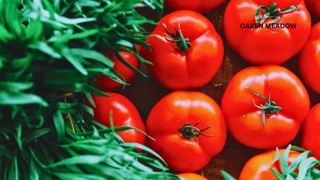 Close-up of fresh organic tomatoes and herbs grown in containers.