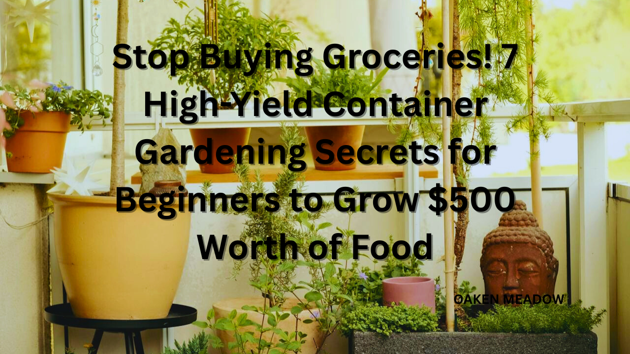 A lush balcony garden filled with high-yield container vegetables.