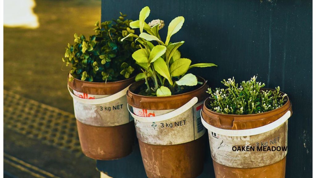 A space-saving vertical setup for high-yield container gardening.